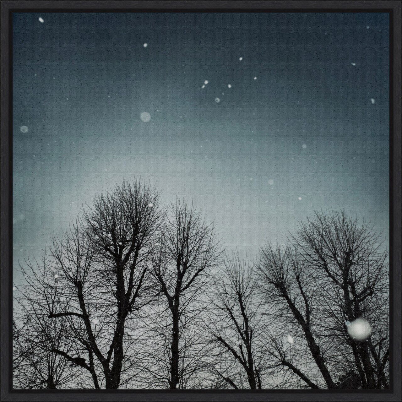 Winter Sky (Tree line) by Andre Eichman 16-in. W x 16-in. H. Canvas Wall Art Print Framed in Black